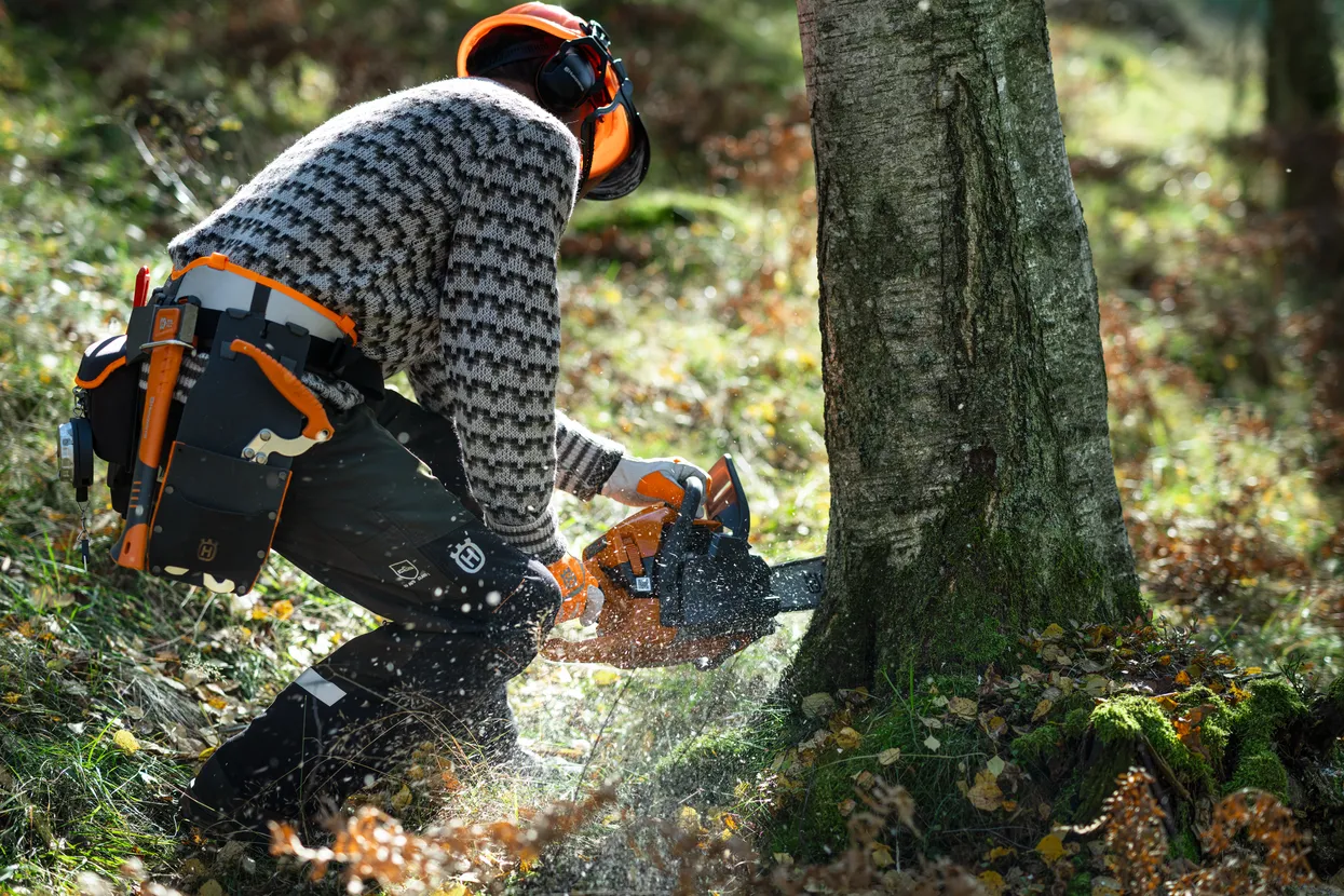 450s Chainsaws